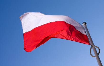 Scholarships for Polish Descent: Unlocking Opportunities for Success