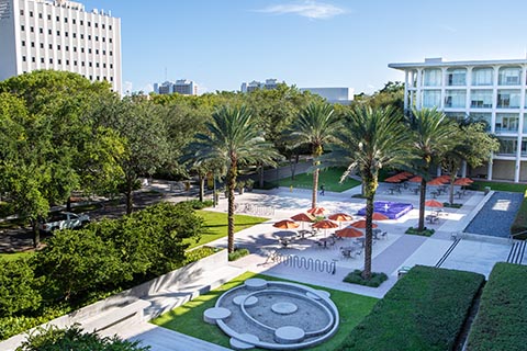 University of Miami Florida Scholarships: Unlocking Opportunities for Students