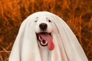 10 Dog Breeds That Could Double as Movie Monsters