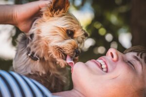 10 Dog Breeds That Form The ‘Strongest’ Bonds with Their
Owners