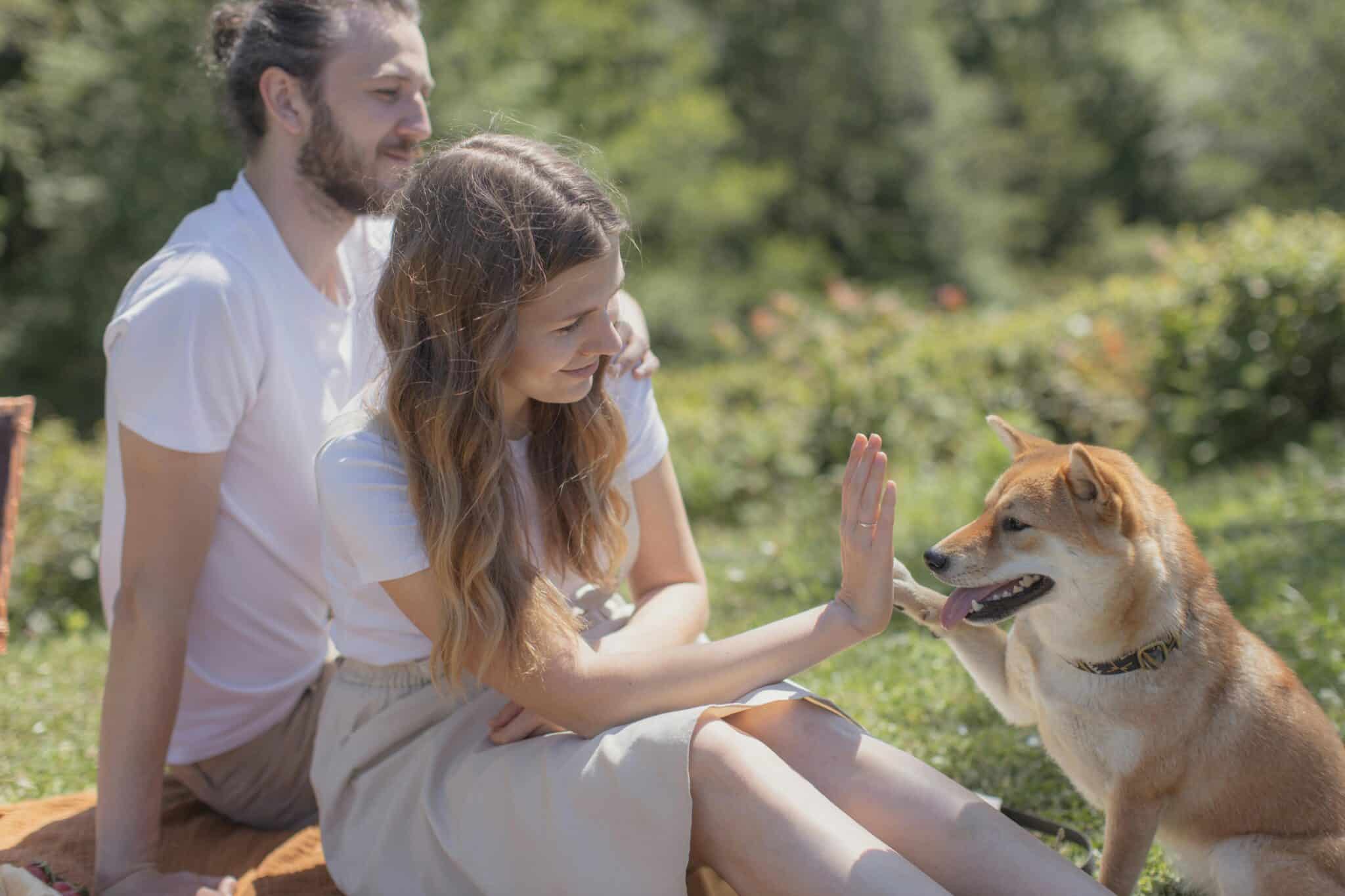 7 Dog Breeds for Young Couples Starting Out