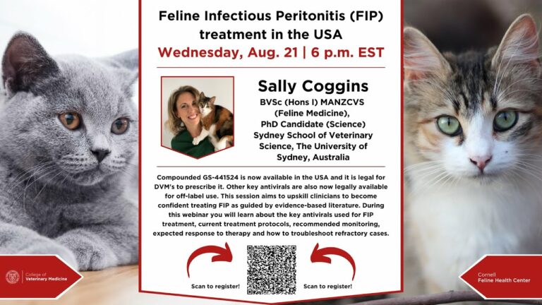 Cornell Feline Health Center: Feline Infectious Peritonitis
(FIP) treatment in the USA