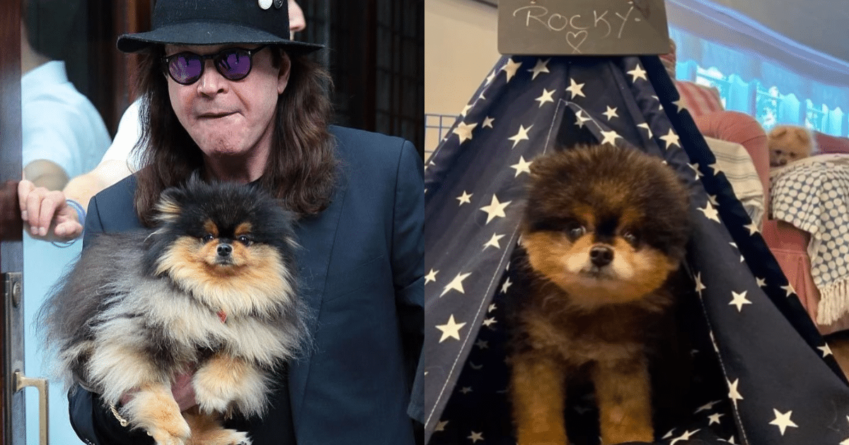 “Ozzy Osbourne Mourns the Loss of Beloved Dog Rocky: ‘I Love
You Always'”