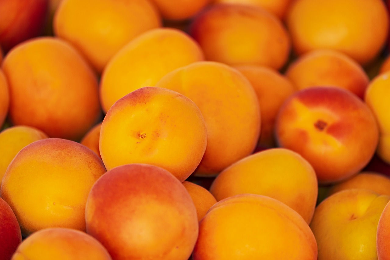 fresh apricots