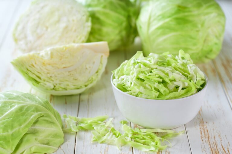 Can Dogs Eat Cabbage? Vet-Reviewed Nutrition Facts &amp;
Info