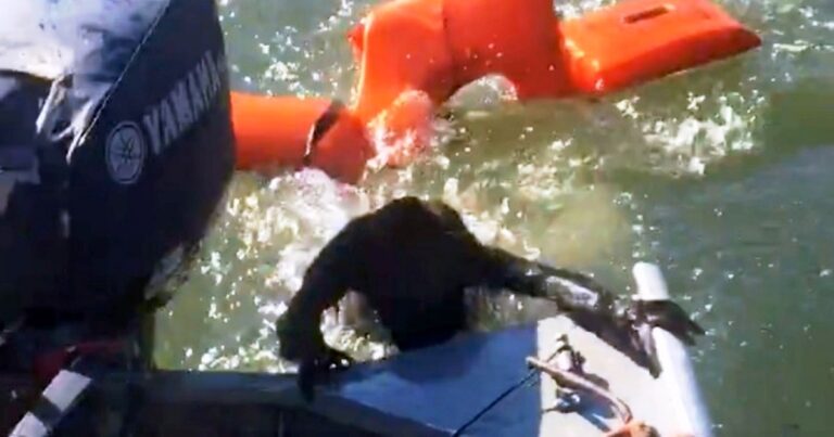 Fisherman Throws Life Jacket To Save Drowning Dog But It Was
Not A Dog At All