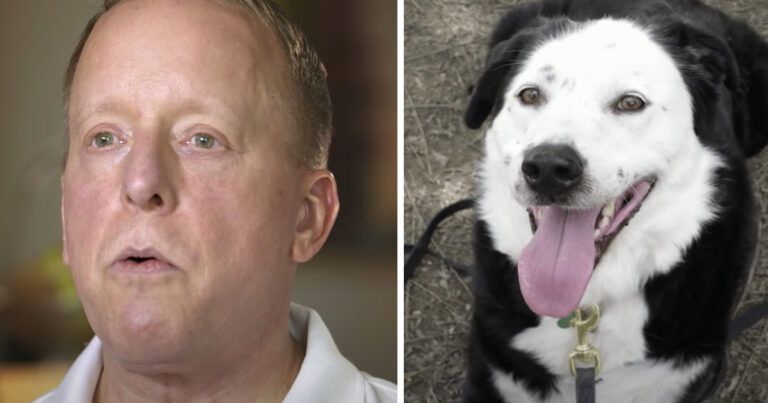 Man Was Told That He Had 5 Years To Live, So He Visits
Shelter And Asked For An Obese, Middle Aged Dog