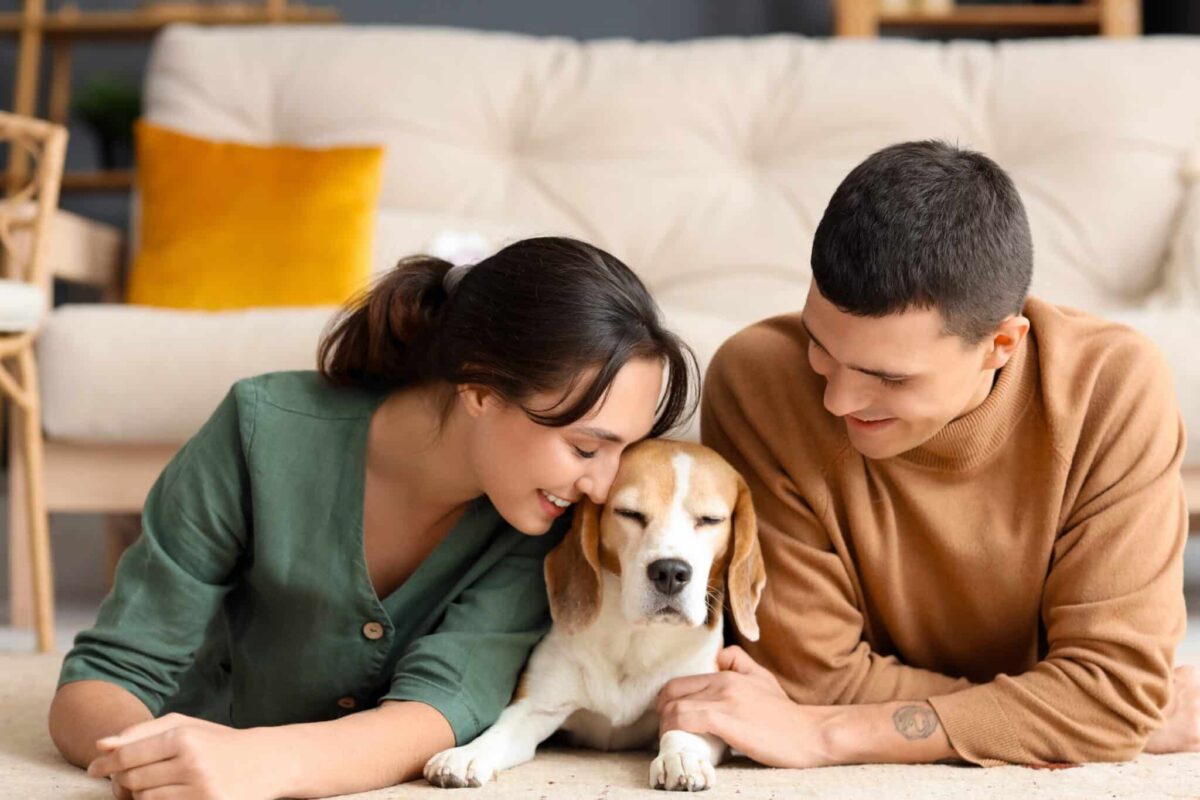 Top 8 Dog Breeds For Couples