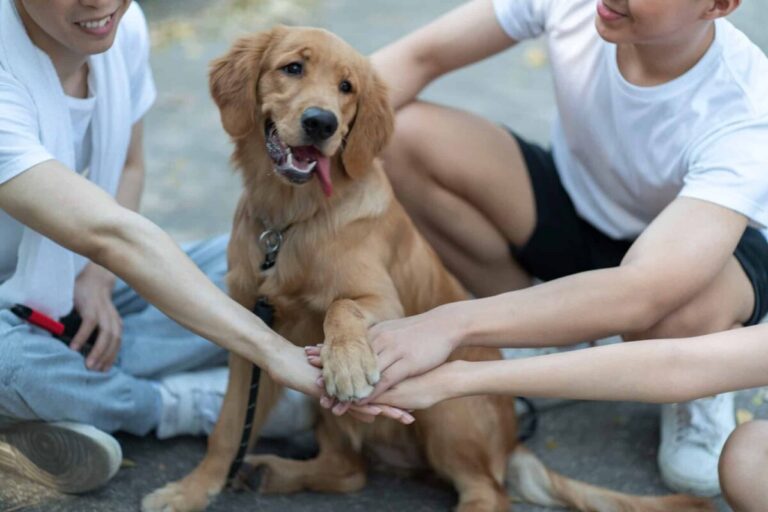 17 Dog Breeds Who Love Meeting New People