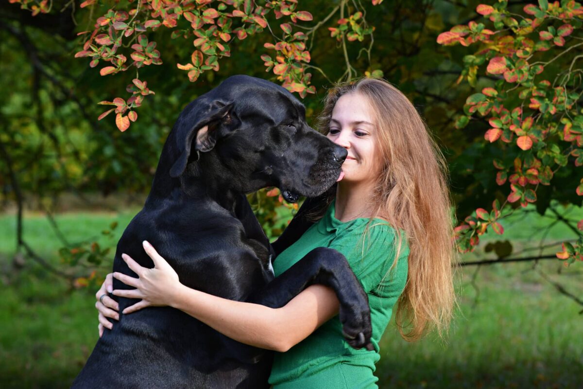 13 Large Dog Breeds That Prove Big Love Comes in Giant
Packages