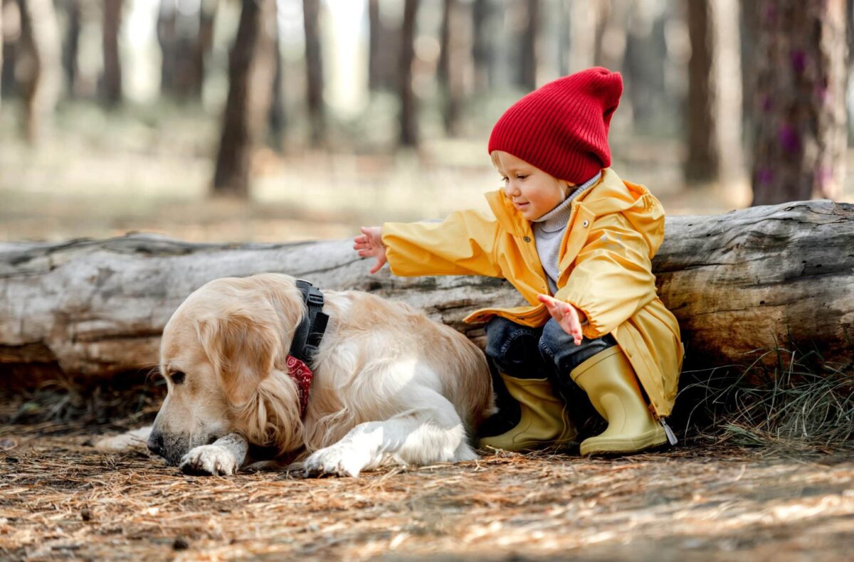 18 Dog Breeds Known For Their Gentle Approach With Toddlers
And Babies