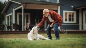 9 Best Dog Breeds for Baby Boomers Seeking
Companionship