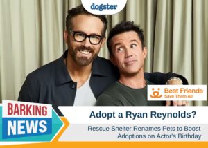 Dogster_Barking News_Adopt a Ryan Reynolds)