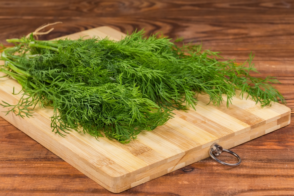 dill on a wooden cutting board