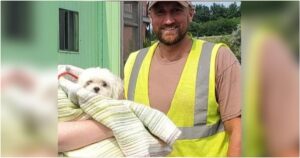 Sanitation Driver Finds Small Dog In Truck’s Hopper Among
The Trash