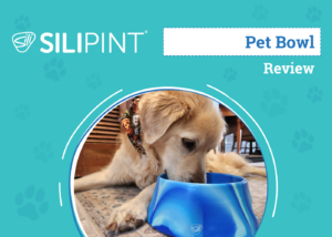 Silipint Pet Bowl