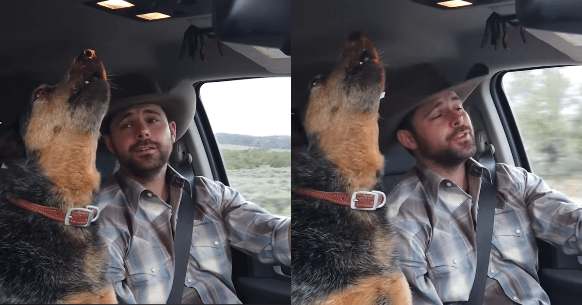 This Dog’s Favorite Country Song Brings Out Her ‘Inner
Singer’ with Her Owner