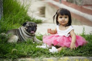 Top Tips to Ensure Puppies and Kids Become Best
Buddies!