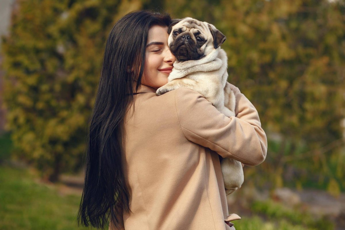 11 Dog Breeds That Are Made For Cuddling