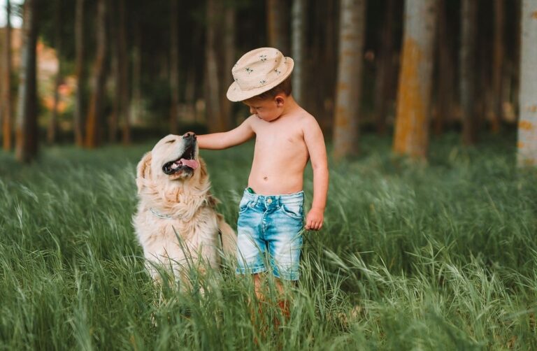 11 Dog Breeds That Naturally Love Kids