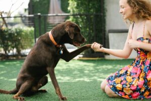 11 Reasons Dogs Make The Best Life Coaches