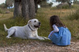 13 Dog Breeds Who Are Amazing With Small Children