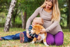 13 Reasons Dogs Are The Perfect Companions For Families Big
Or Small