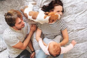 13 Reasons Why Dogs Make Every Family Happier And More
Complete