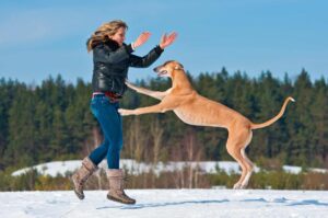 13 Small Changes To Strengthen The Bond Between You And Your
Dog