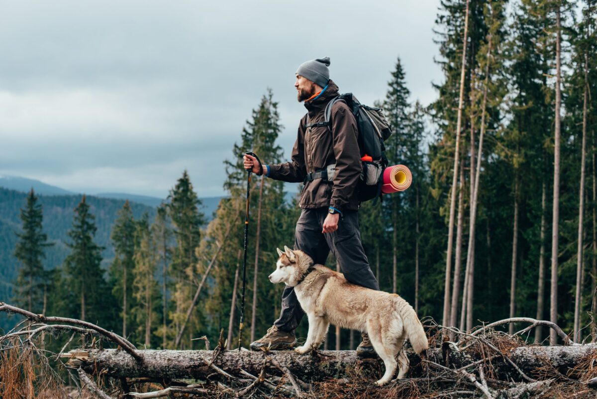 16 Adventurous Dog Breeds Ready For Exploration