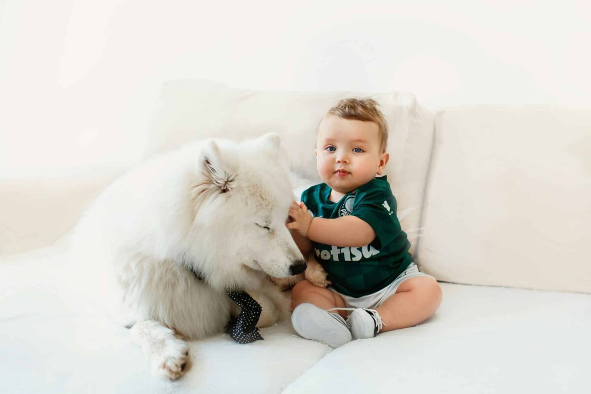 7 Reasons Dogs Are Drawn To Babies