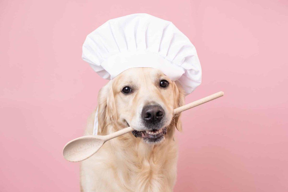 9 Fun and Easy Dog-Friendly Treats You Together