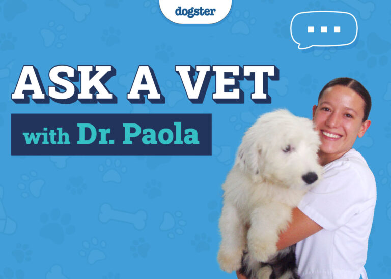 Ask Dr. Paola: Monday January 6, 2025