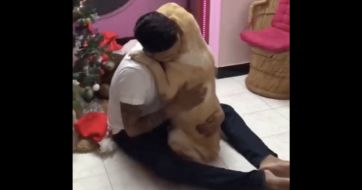 Dog Survives Intense Neck Surgery, Tearfully Reunites with
Owner