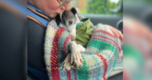 Dog’s Embraced And Kissed On Forehead After Six Years In
Cage