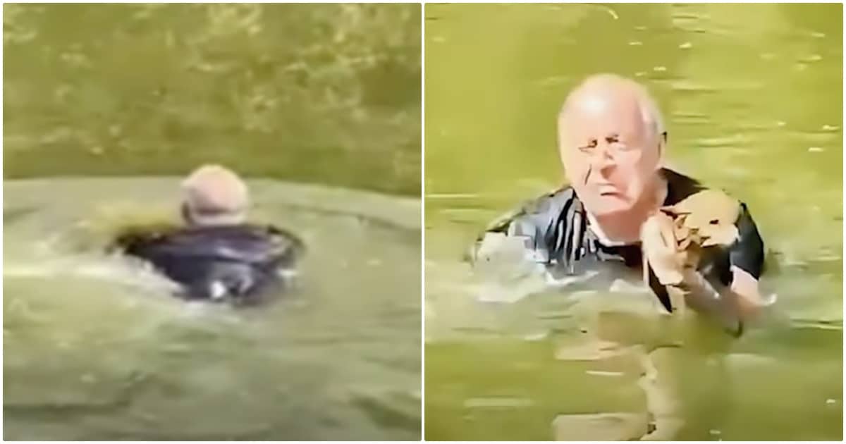 Man Paddles Out To Drowning Dog, But It Wasn’t A Dog At
All