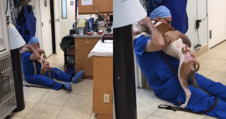 ‘Emotional Moment’ as Dog with Severe Burns Reunites with
His Beloved Vet