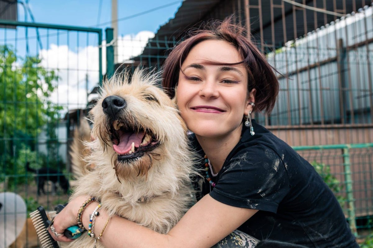 15 Reasons Adopting A Rescue Dog Will Change Your
World