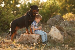 Top 13 Dog Breeds That Will Always Make You Feel Safe And
Loved