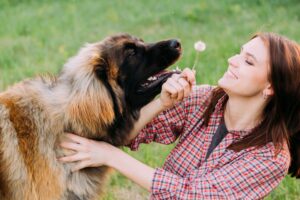 Top 15 Dog Breeds That Add Happiness To Every Corner Of
Life