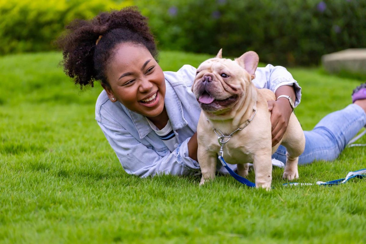 Top 7 Dog Breeds That Will Always Bring A Smile To Your
Face