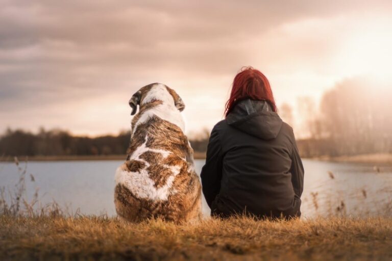 Top 9 Ways Dogs Show Gratitude Without Ever Saying A
Word