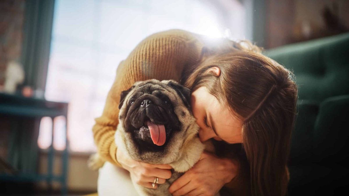 Ultimate 11 Dog Breeds That Will Melt Your Heart In
Seconds