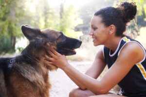 Ultimate 15 Dog Breeds That Prove Loyalty Never
Fades