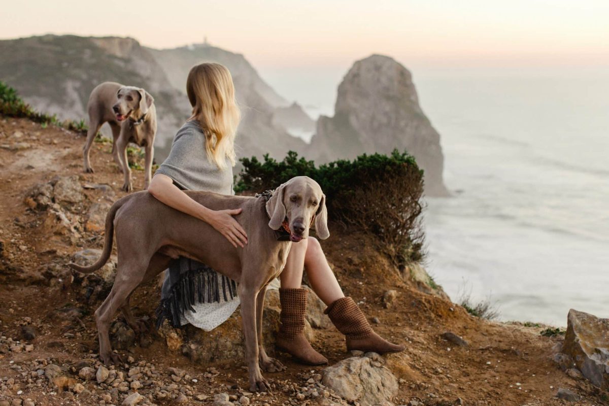 Ultimate 15 Dog Breeds That Show You How to Live in the
Moment