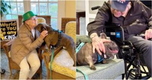 Dog Stops To Greet Every Resident In Nursing Home, He’s ‘The
Best Medicine’