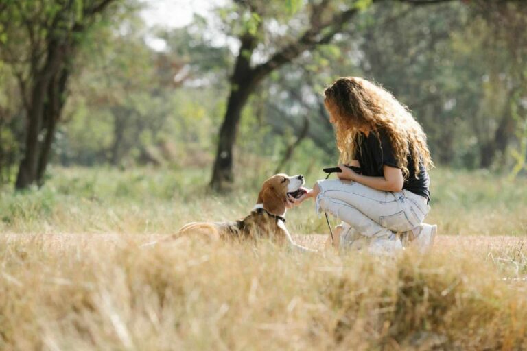 Top 11 Dog Breeds That Love You More Than Words Can
Say