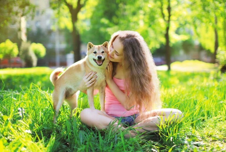 Top 11 Dog Breeds That Stay by Your Side Through Thick and
Thin