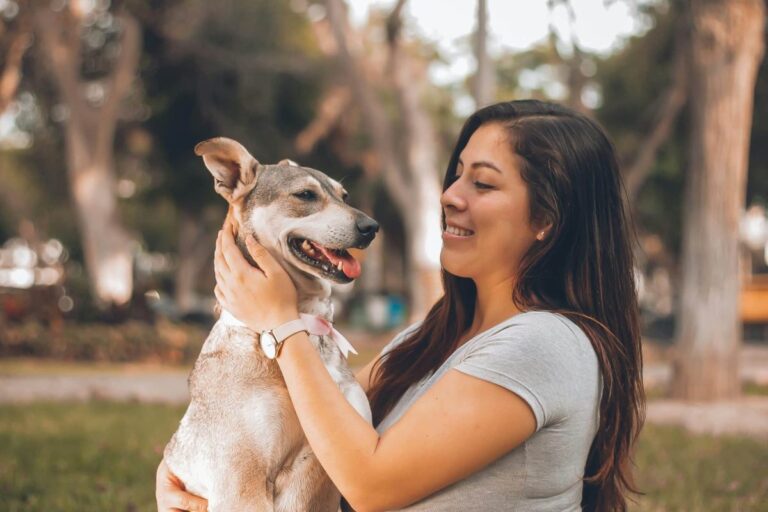 Top 11 Signs Your Dog Feels an Unbreakable Connection With
You