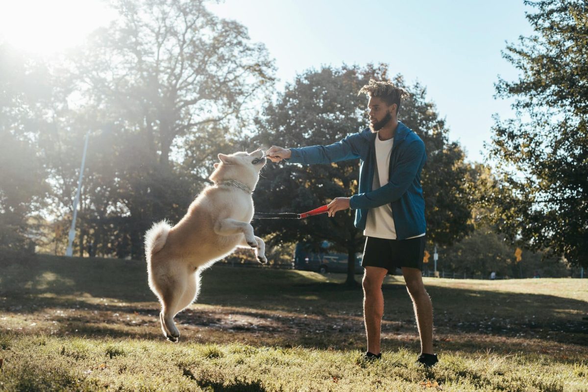 Top 11 Things Dogs Do That Remind Us to Live in the
Moment